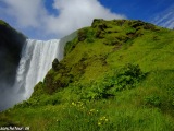 Island-1002