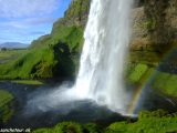 Island-1099