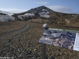 Island-1208