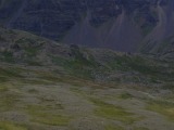 Island-212