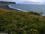 Island-483