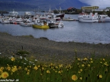 Island-717