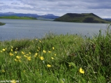 Island-116