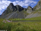 Island-272
