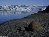 Island-294