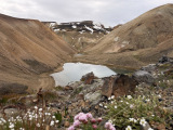 Island_21