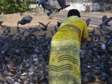 Kerala / Kochin – Jain temple si určite nenecháme ujsť...