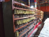 kailash_12