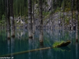 Kazachstan_Kirgistan-774