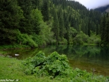 Kazachstan_Kirgistan-806