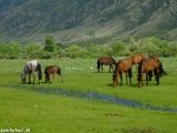 Kazachstan_Kirgistan-929