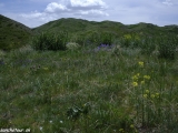 Kazachstan-Kirgystan-112