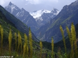 Kazachstan-Kirgystan-1237