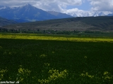 Kazachstan_Kirgistan-1232
