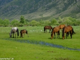 Kazachstan_Kirgistan-929