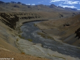 Ladakh-217