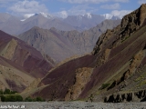 Ladakh-531