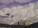Ladakh-255
