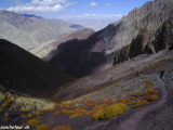 Ladakh-309