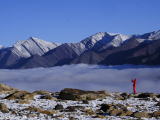 Ladakh-494