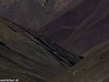 Ladakh-1015