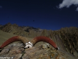 Ladakh-1142