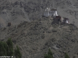 Ladakh-147
