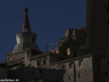 Ladakh-187