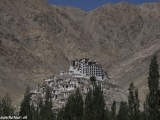 Ladakh-292