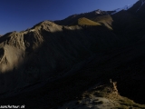Ladakh-557