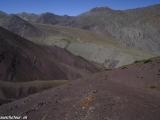 Ladakh-647