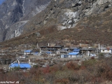 Langtang-064