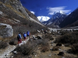 Langtang-201