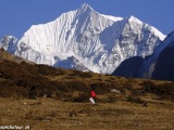 Langtang-305