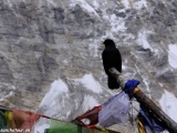 Langtang-532