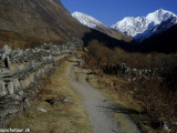 Langtang-145