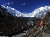 Langtang-184