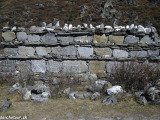 Langtang-196