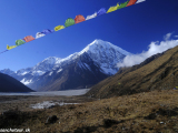 Langtang-270