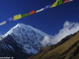 Langtang-282