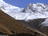 Langtang-420