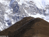 Langtang-427