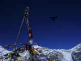 Langtang-458