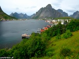 Reine...