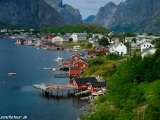 Reine...