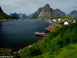 Reine...
