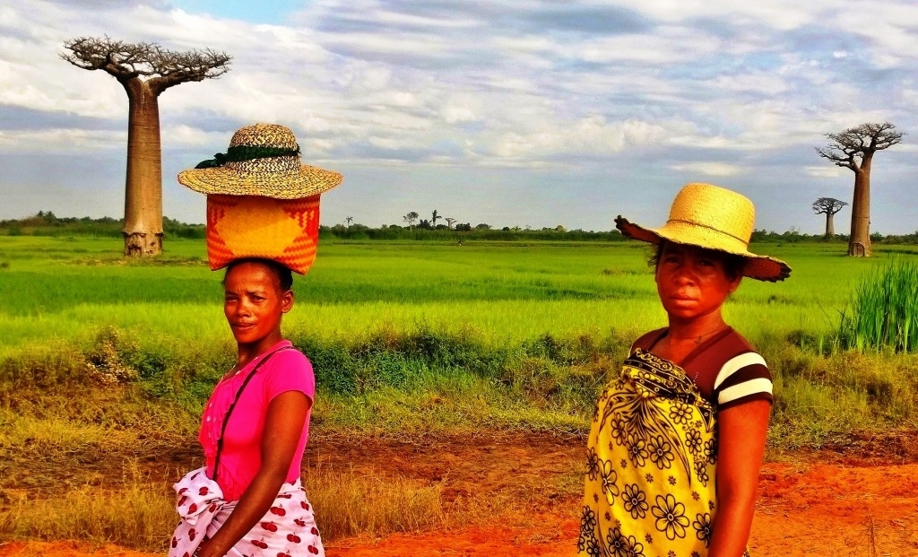 Alee de Baobab je len jedna