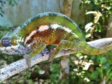 Madagaskar_01-24
