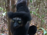 Madagaskar_01-25