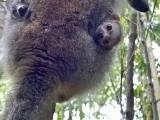 Madagaskar_01-26